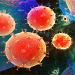 Studies of US Lassa fever patient offer clues about immune response, viral persistence