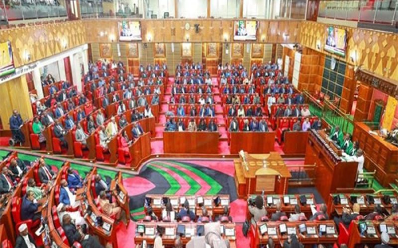 The Kenyan Parliament is Considering a Bill to Regulate Traditional Medicine Practitioners